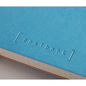 Rhodiarama Goalbook souple TURQUOISE A5 240 pages dot papier blanc 90 g