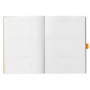 Rhodiarama Goalbook souple ANIS A5 240 pages dot papier blanc 90 g