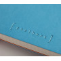 Rhodiarama Goalbook souple TURQUOISE A5 240 pages petits carreaux 5x5 papier ivo