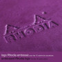Rhodiarama carnet rembordé rigide A5 VIOLET 192 pages ligné papier ivoire 90 g,