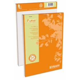 FOREVER, Bloc agrafes en tête 21x29,7 200pQ.5x5 70g recyclé