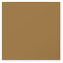 Paquet de 25 cartes Pollen 160x160, kraft