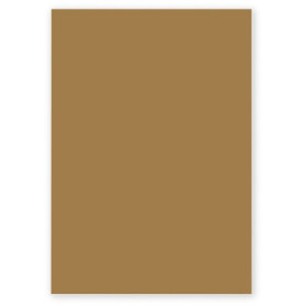 Etui de 50 feuilles Pollen 210x297, kraft 120g