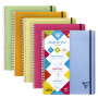 Linicolor Proactiv'Book 22,5x29,7cm 160p séyès cadré perfo. 4 trous + 1 pochette