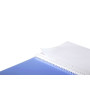 Linicolor Proactiv'Book 22,5x29,7cm 160p Q.5x5 + marge cadré perfo. 4 trous + 1