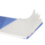 Linicolor Proactiv'Book 22,5x29,7cm 160p Q.5x5 + marge cadré perfo. 4 trous + 1