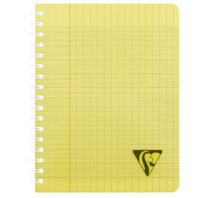 Linicolor cahier reliure intégrale 17x22cm 100p séyès assortiment FRESH