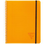 Linicolor Proactiv'Book 16x21cm 180p détachables Q.5x5 cadré + 1 pochette trieur