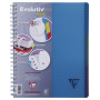 Linicolor Evolutiv'Book 22,5x29,7cm 240p Q.5x5 cadré perfo. 4 trous + 3 intercal