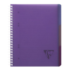 Linicolor Evolutiv'Book 16x21cm 180p Q.5x5 cadré perfo. 6 trous + 3 intercalaire