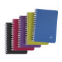 Linicolor carnet reliure intégrale 9x14cm 100p Q.5x5 assortiment INTENSIVE