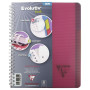 Linicolor Evolutiv'Book 16x21cm 180p Q.5x5 cadré perfo. 6 trous + 3 intercalaire