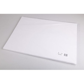 Rame Bristol blanc 50x65cm 125 feuilles 205g O