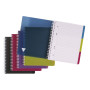 Linicolor Evolutiv'Book 16x21cm 180p ligné cadré perfo. 6 trous + 3 intercalaire