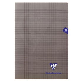 Mimesys cahier piqué polypro 21x29,7cm 48p séyès Gris