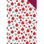 CARTON DÉCOR, Paquet de 40 feuilles, 25x35cm, 160g, Noël