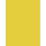 PAPIER AFFICHE PEINTE, Paquet de 25 feuilles, 60x80cm, 80g, Jaune or