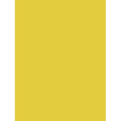 PAPIER AFFICHE PEINTE, Paquet de 25 feuilles, 60x80cm, 80g, Jaune or