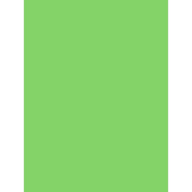 PAPIER AFFICHE PEINTE, Paquet de 25 feuilles, 60x80cm, 80g, Menthe