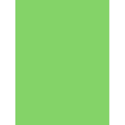 PAPIER AFFICHE PEINTE, Paquet de 25 feuilles, 60x80cm, 80g, Menthe