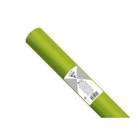 PAPIER DE SOIE, Rouleau de 24 feuilles, 50x75cm, 18g, Vert pomme