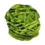 PAPIER DE SOIE, Rouleau de 24 feuilles, 50x75cm, 18g, Vert pomme
