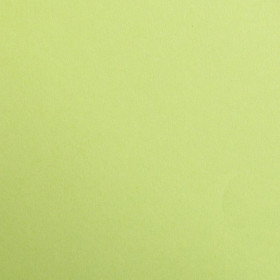 Rame Maya 50x70cm 250 feuilles 120g vert mousse