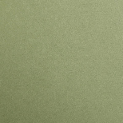 * Rame Maya 50x70cm 250 feuilles 120g kaki