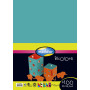 PAPIER BICOLORE, Paquet de 25 feuilles, 50x65cm, 160g, Assortiment