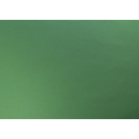 PAPIER COULEUR RECYLÉ, Paquet de 25 feuilles, 50x70cm, 270g, Vert empire