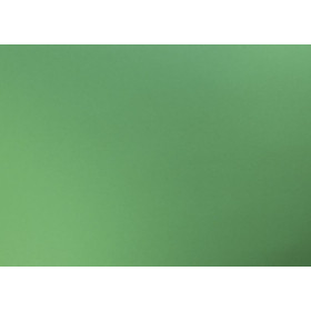 PAPIER COULEUR RECYLÉ, Paquet de 25 feuilles, 50x70cm, 270g, Vert bouteille