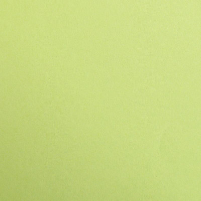 Paquet Maya A2 25 feuilles 270g vert mousse