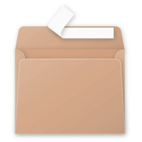 * Paquet de 20 enveloppes Pollen 90x140, nectar