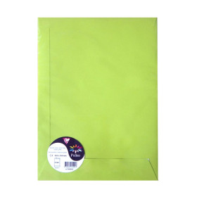 Sachet de 5 pochettes Pollen 229x324, vert menthe
