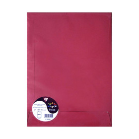 Sachet de 5 pochettes Pollen 229x324, groseille