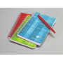 Carnet reliure intégrale 11x17cm 180p Q.5x5