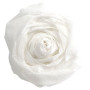 PAPIER CRÉPON 40%, Paquet de 10 feuilles, 2,00x0,50m, Blanc