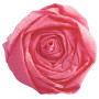 PAPIER CRÉPON 40%, Paquet de 10 feuilles, 2,00x0,50m, Rose moyen