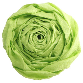 PAPIER CRÉPON 60%, Paquet de 10 feuilles, 2,50x0,50m, Vert pomme