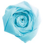 PAPIER CRÉPON 60%, Paquet de 10 feuilles, 2,50x0,50m, Bleu turquoise