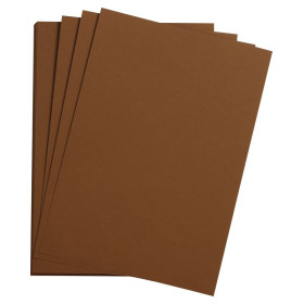 Etival Color paquet 25 feuilles A3 160g marron