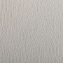 Etival Color paquet 25 feuilles A3 160g Gris clair