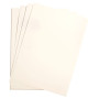 Etival Color paquet 25 feuilles A3 160g blanc