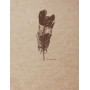Flying Spirit Carnet Cousu kraft 16x21cm 120p Ivoire 90g