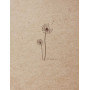 Flying Spirit Carnet cousu A6 Ivoire100p kraft feuilles