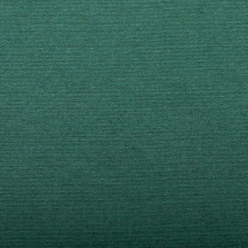 Paquet Ingres Pastel 50x65cm 25F 130g vert profond