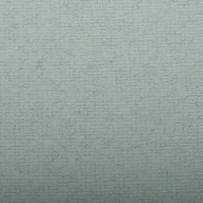 Paquet Ingres Pastel 50x65cm 25F 130g vert d'eau