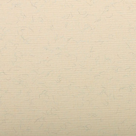 Paquet Ingres Pastel 50x65cm 25F 130g crème marbré