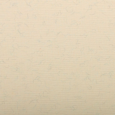 Paquet Ingres Pastel 50x65cm 25F 130g crème marbré