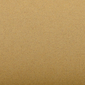 Paquet Ingres Pastel 50x65cm 25F 130g jaune